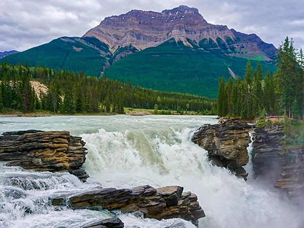 Trail of the Athabasca Falls hike in Jasper National Park