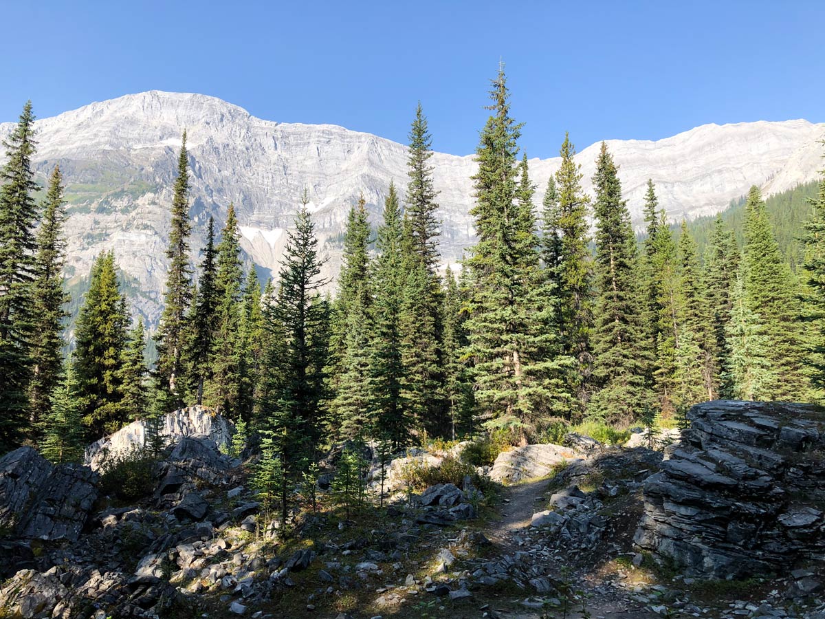 Trail up to Warspite Lake on the Black Prince Lakes and Cirque Hike near Smith-Dorrien Trail in Kananaskis, near Canmore