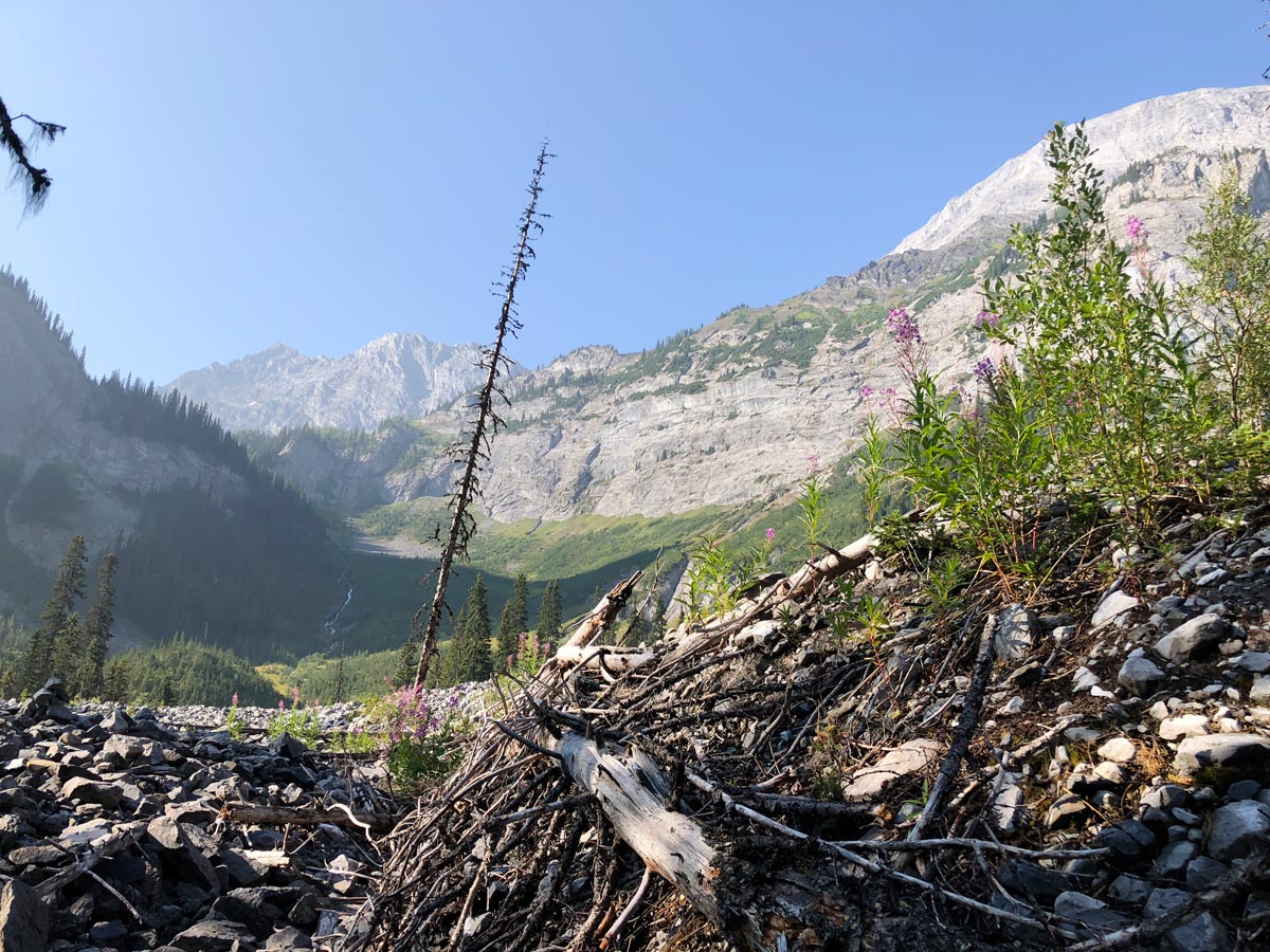 Dry Warspite Lake on the Black Prince Lakes and Cirque Hike near Smith-Dorrien Trail in Kananaskis, near Canmore