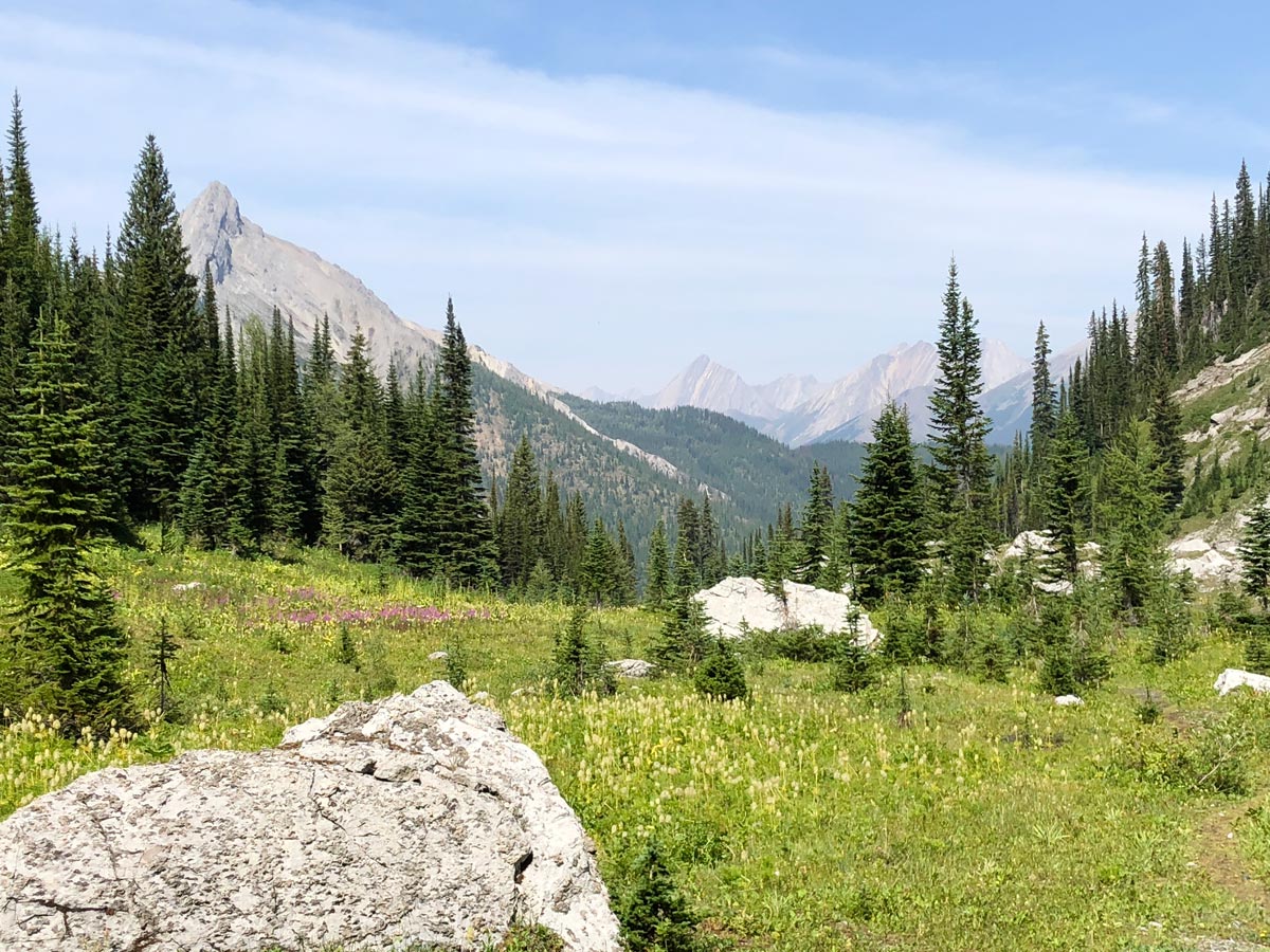 Little meadow above the waterfall on the Black Prince Lakes and Cirque Hike near Smith-Dorrien Trail in Kananaskis, near Canmore