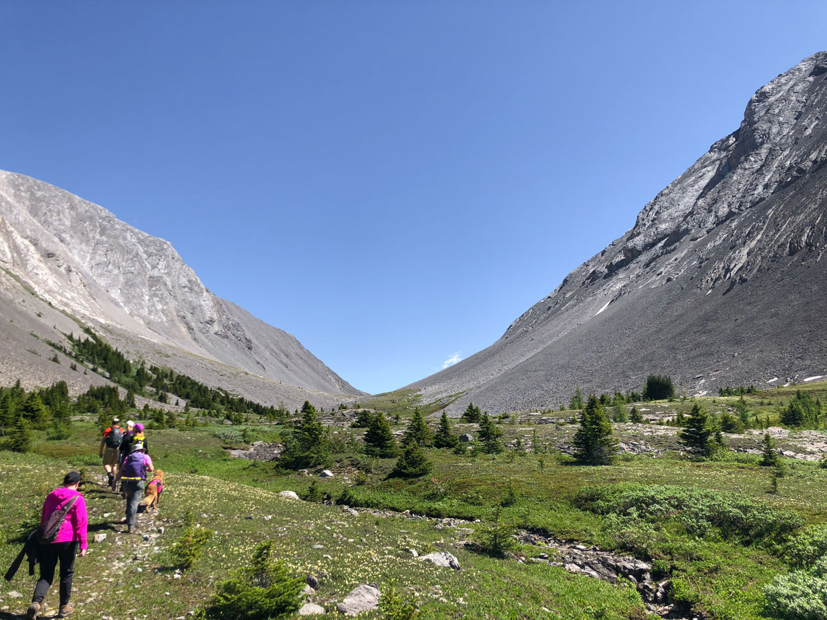 Trail of the Rummel Pass Hike on Smith-Dorrien Trail (Kananaskis)