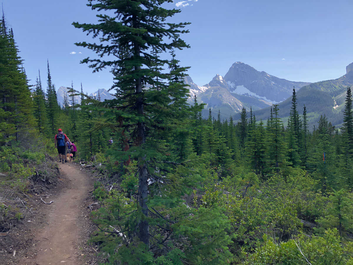 Beautiful views from the Rummel Pass Hike near Smith-Dorrien Trail in Kananaskis, near Canmore