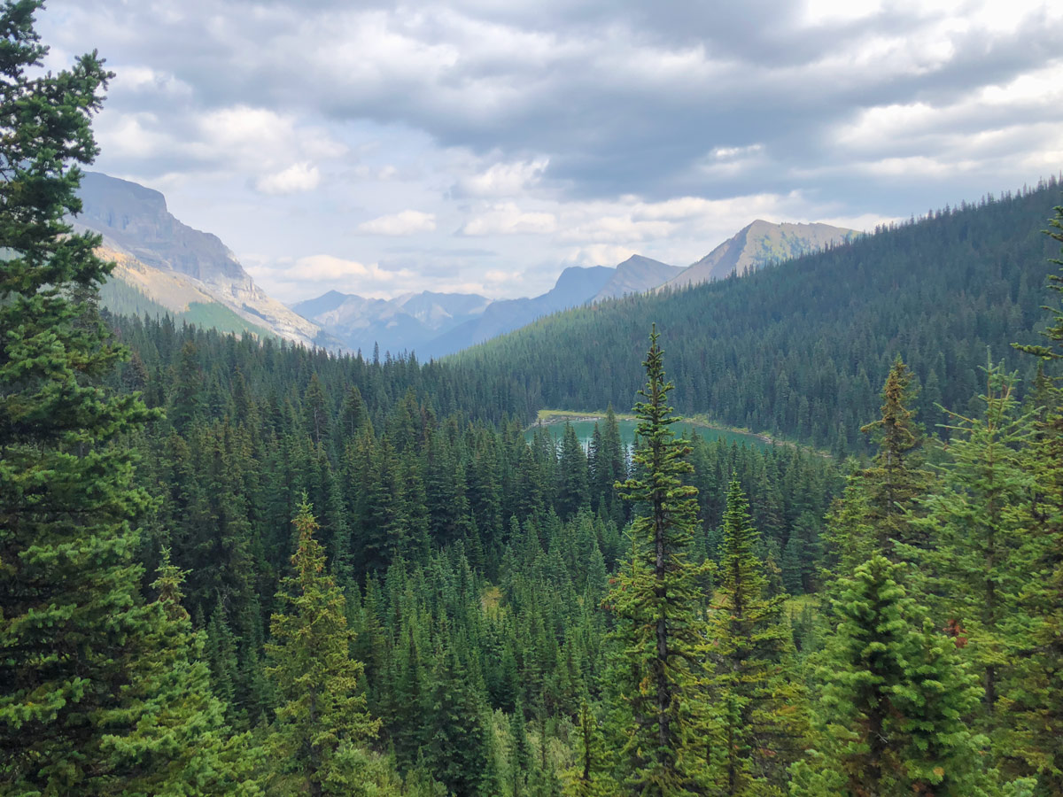 Trail towards the Lillian Lake on the Guinn's Pass Hike in Kananaskis, near Canmore