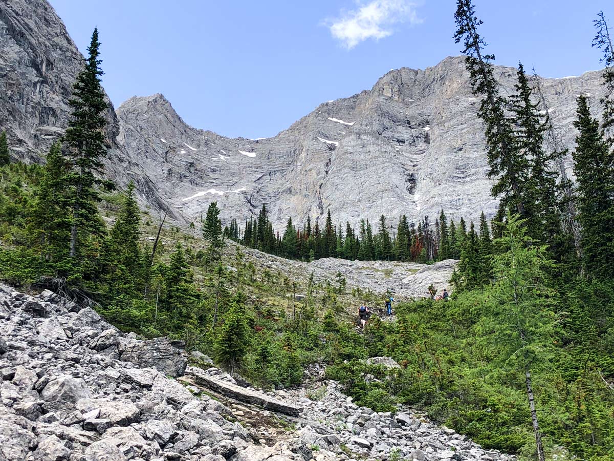 Trail beside a forest on the Old Goat Glacier Hike near Smith-Dorrien Trail in Kananaskis, near Canmore