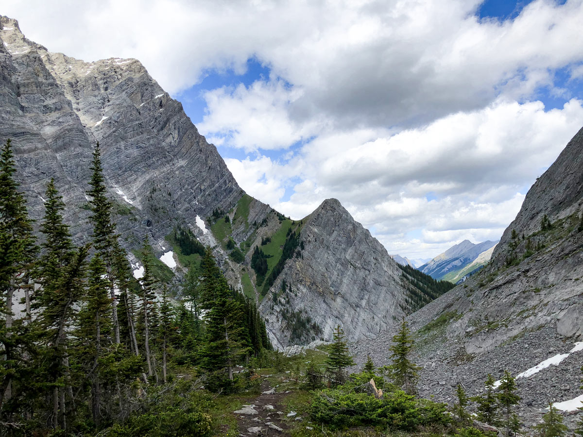 Trail along the trees on the Old Goat Glacier Hike near Smith-Dorrien Trail in Kananaskis, near Canmore