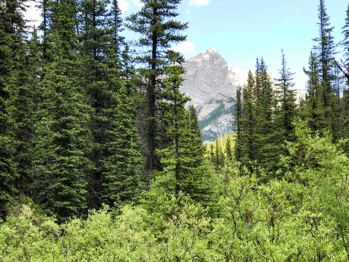 Beautiful view of the Old Goat Glacier Hike near Smith-Dorrien Trail in Kananaskis, near Canmore