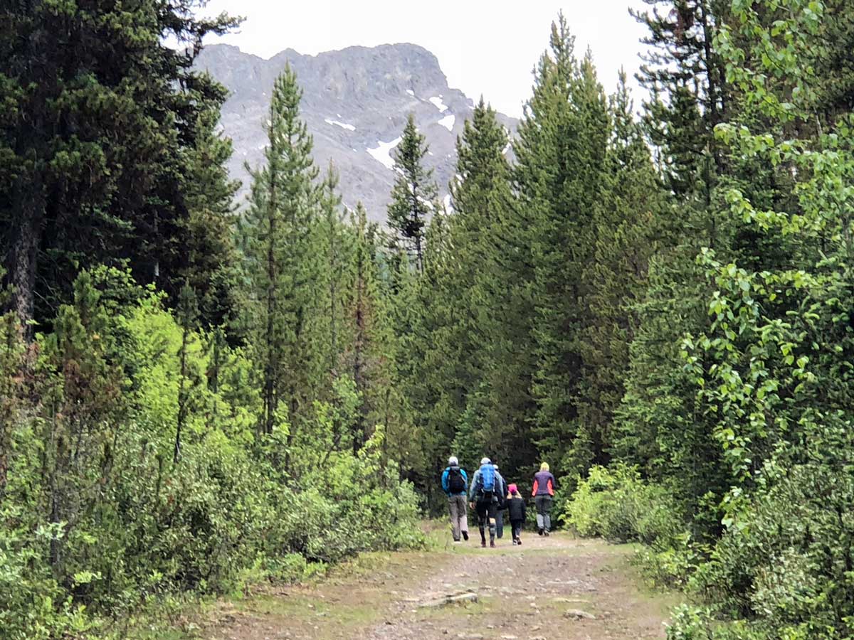 Trail of the Black Prince Interpretive Trail / Warspite Lake Hike near Smith-Dorrien Trail in Kananaskis