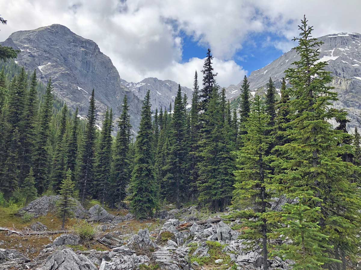 Scenery from the Black Prince Interpretive Trail / Warspite Lake Hike near Smith-Dorrien Trail (Kananaskis)