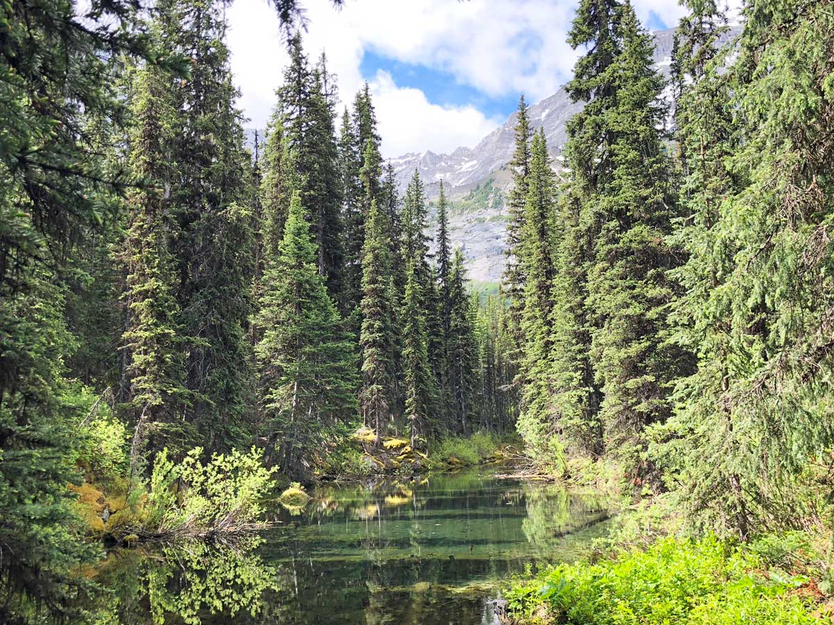 Crossing a river on the Black Prince Interpretive Trail / Warspite Lake Hike near Smith-Dorrien Trail in Kananaskis