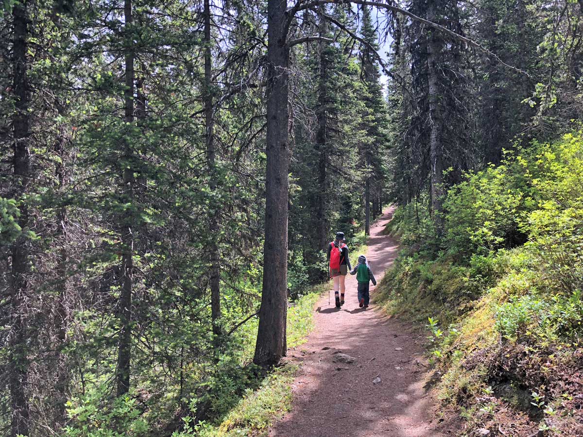 Kids love the Black Prince Interpretive Trail / Warspite Lake Hike near Smith-Dorrien Trail in Kananaskis