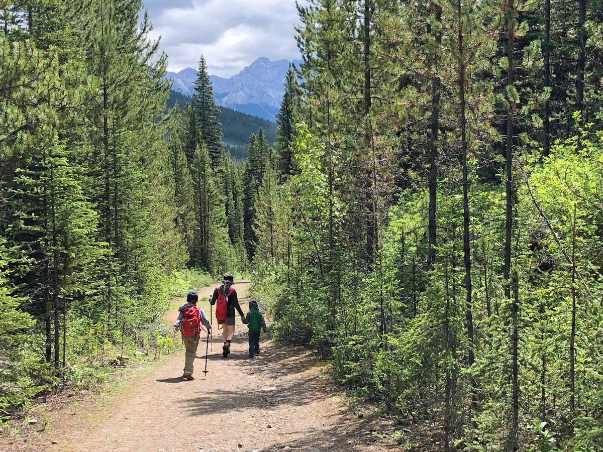 Views down on the Black Prince Interpretive Trail / Warspite Lake Hike near Smith-Dorrien Trail in Kananaskis