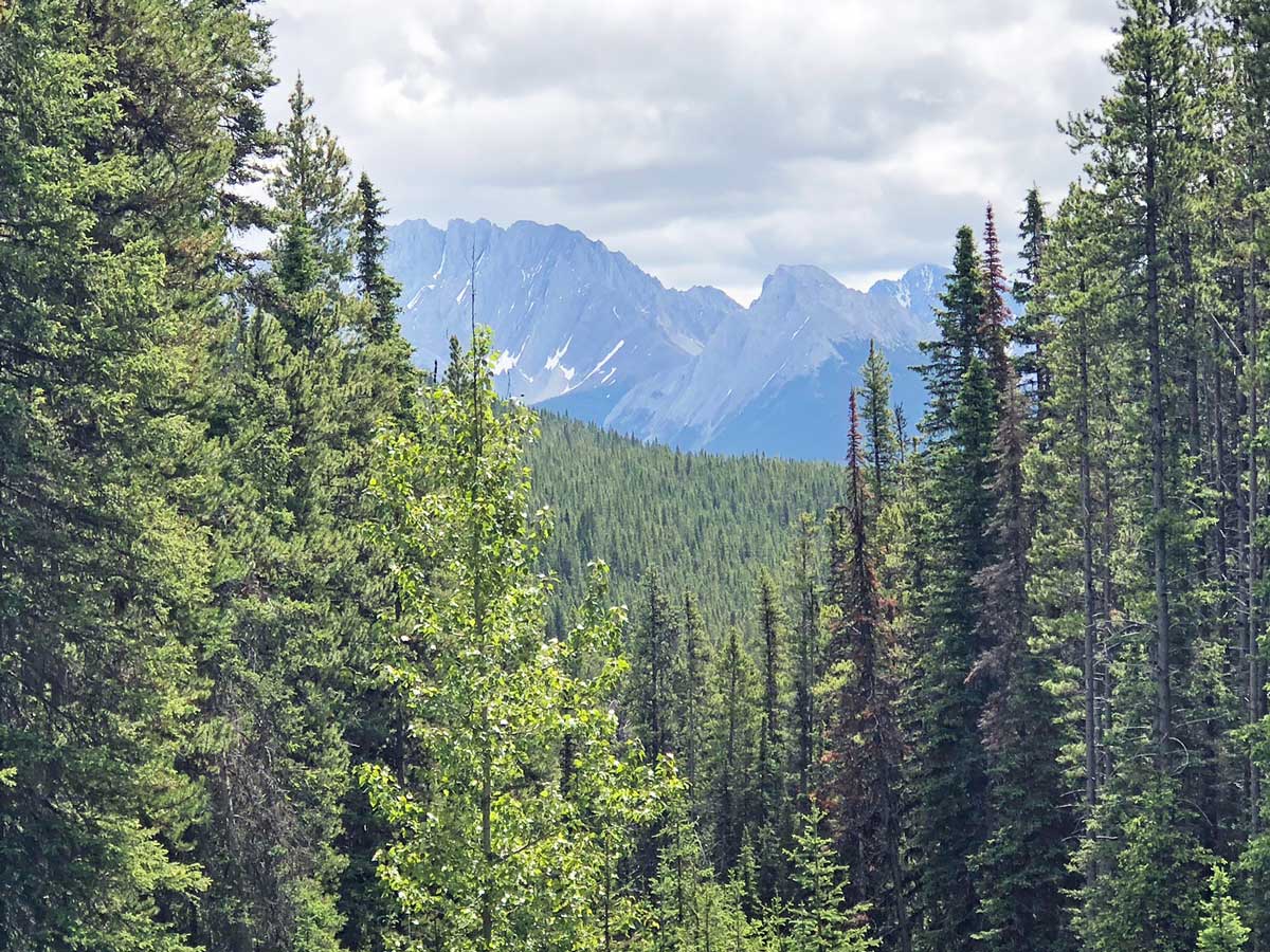 Mountain views from the Black Prince Interpretive Trail / Warspite Lake Hike near Smith-Dorrien Trail in Kananaskis