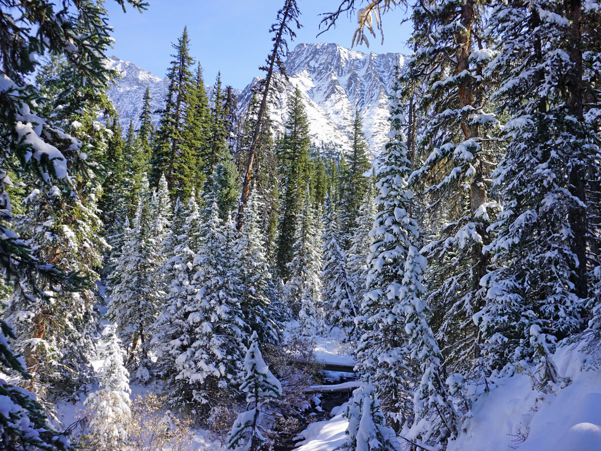 Autumn snow on the Rummel Lake Hike near Smith-Dorrien Trail in Kananaskis, near Canmore