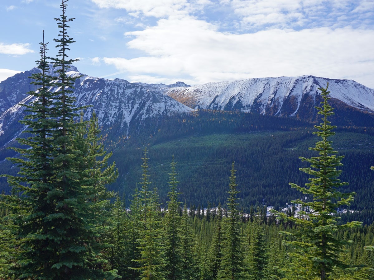 Ridge view from the Rummel Lake Hike near Smith-Dorrien Trail in Kananaskis, near Canmore