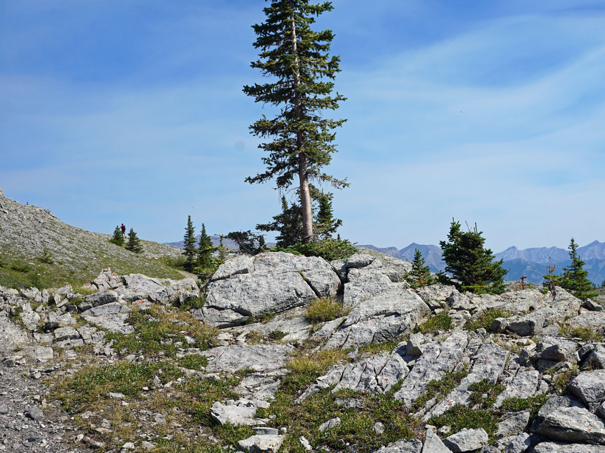 West Wind Pass Hike near Smith-Dorrien Trail in Kananaskis, near Canmore