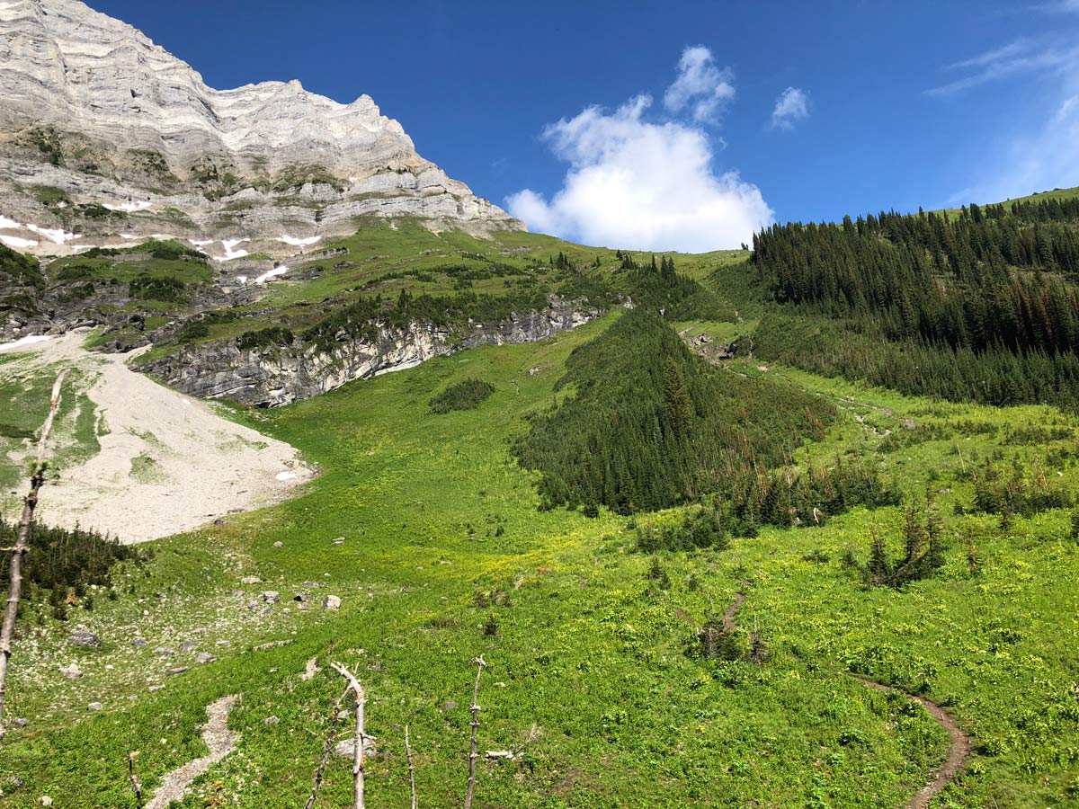 Steep trail of the Sarrail Ridge via Rawson Lake Hike in Kananaskis, near Canmore