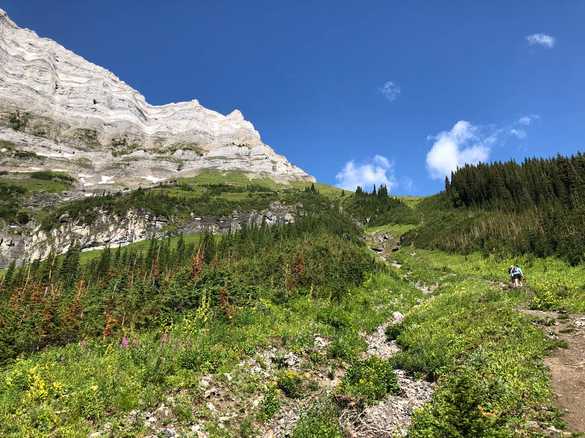 Trail up of the Sarrail Ridge via Rawson Lake Hike in Kananaskis, near Canmore