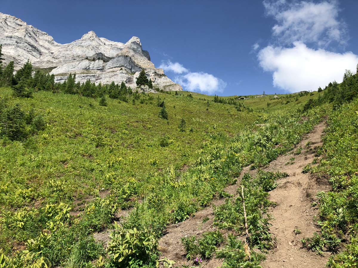 Steep part of the Sarrail Ridge via Rawson Lake Hike in Kananaskis, near Canmore