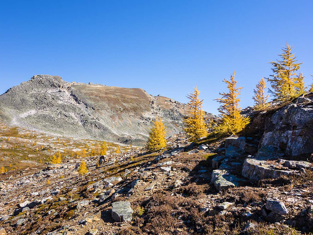 Before the corner on the trail of the Redoubt Lake via Boulder Pass Hike from Lake Louise in Banff National Park