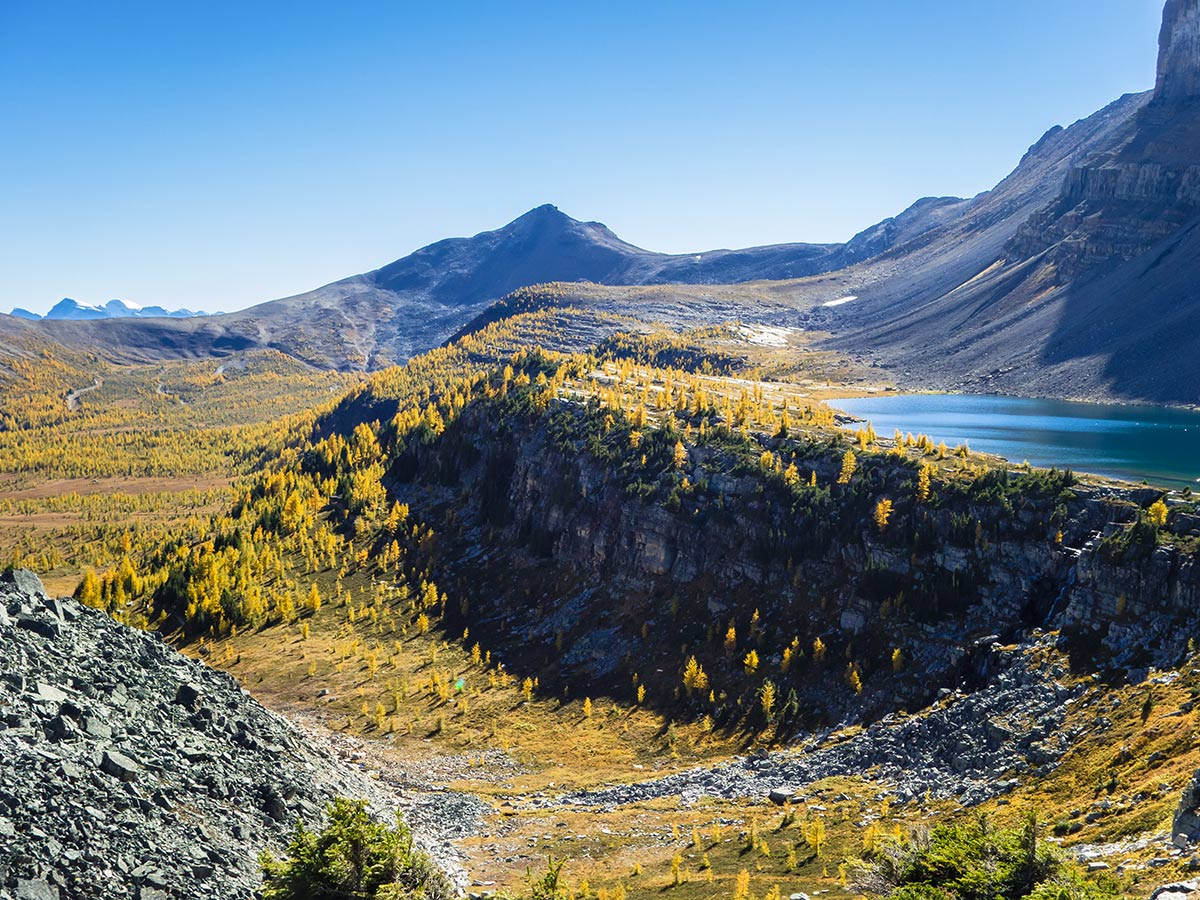 Pretty alpine meadow beside the lake with lots of larches on the Redoubt Lake via Boulder Pass Hike from Lake Louise in Banff National Park