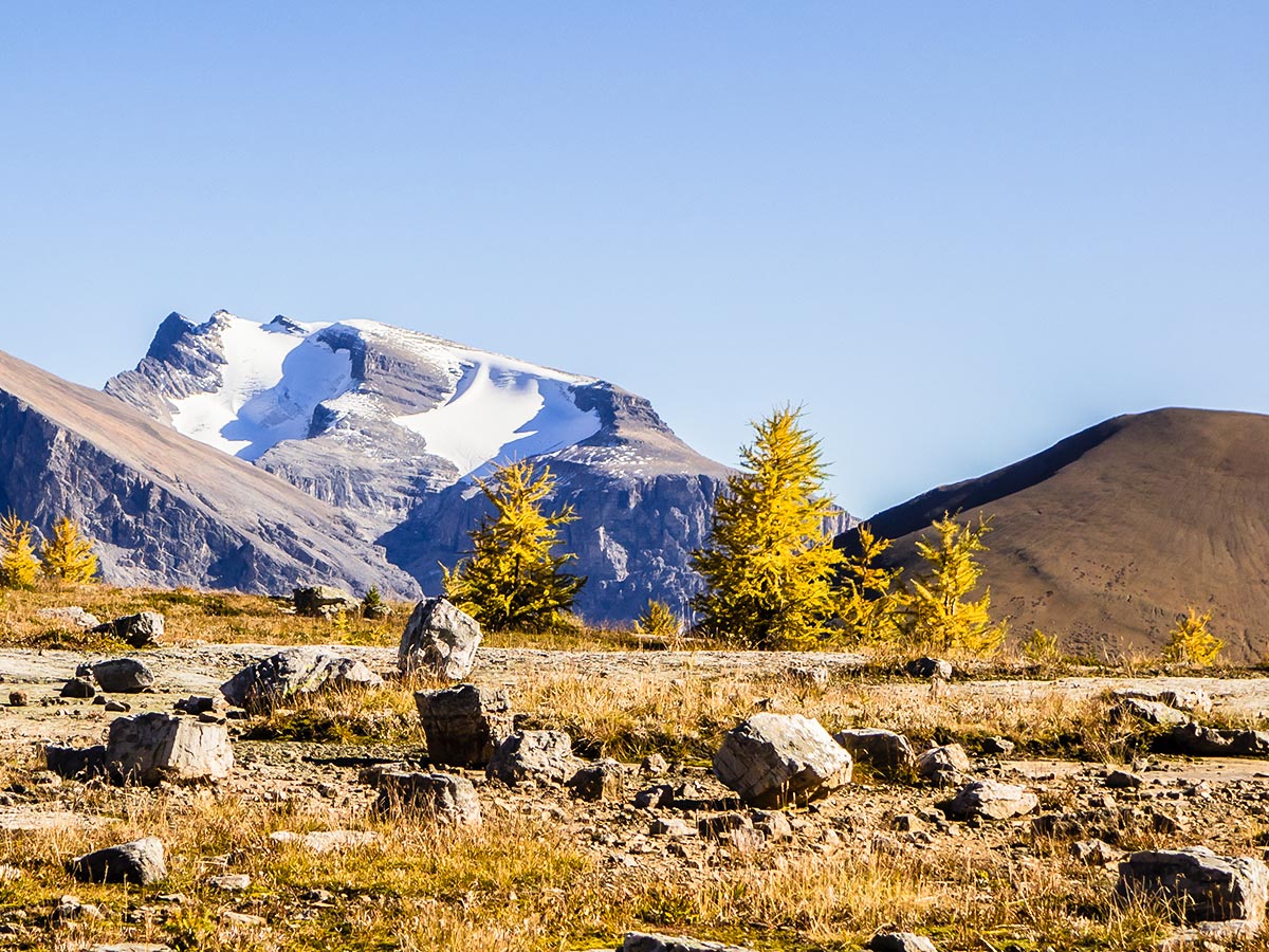 Autumn in the Skoki Region on the Redoubt Lake via Boulder Pass Hike from Lake Louise in Banff National Park