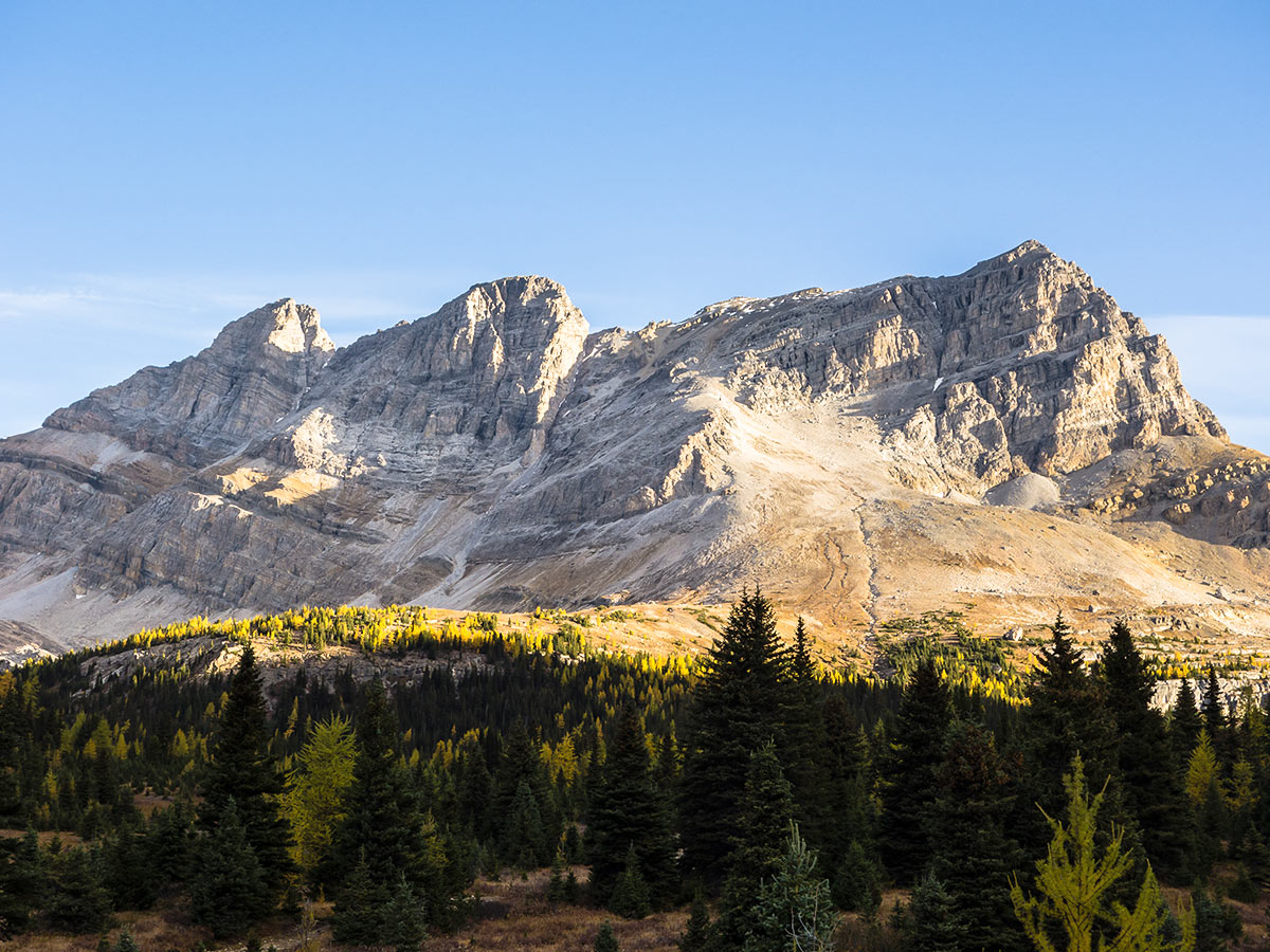 Pika and Ptarmigan Peak on the Skoki Lakes Hike from Lake Louise in Banff National Park