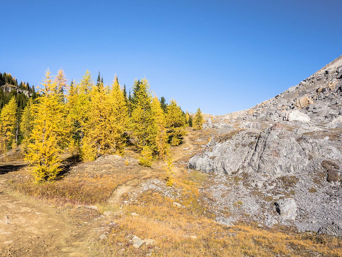 View towards Boulder Pass on the Skoki Lakes Hike from Lake Louise in Banff National Park