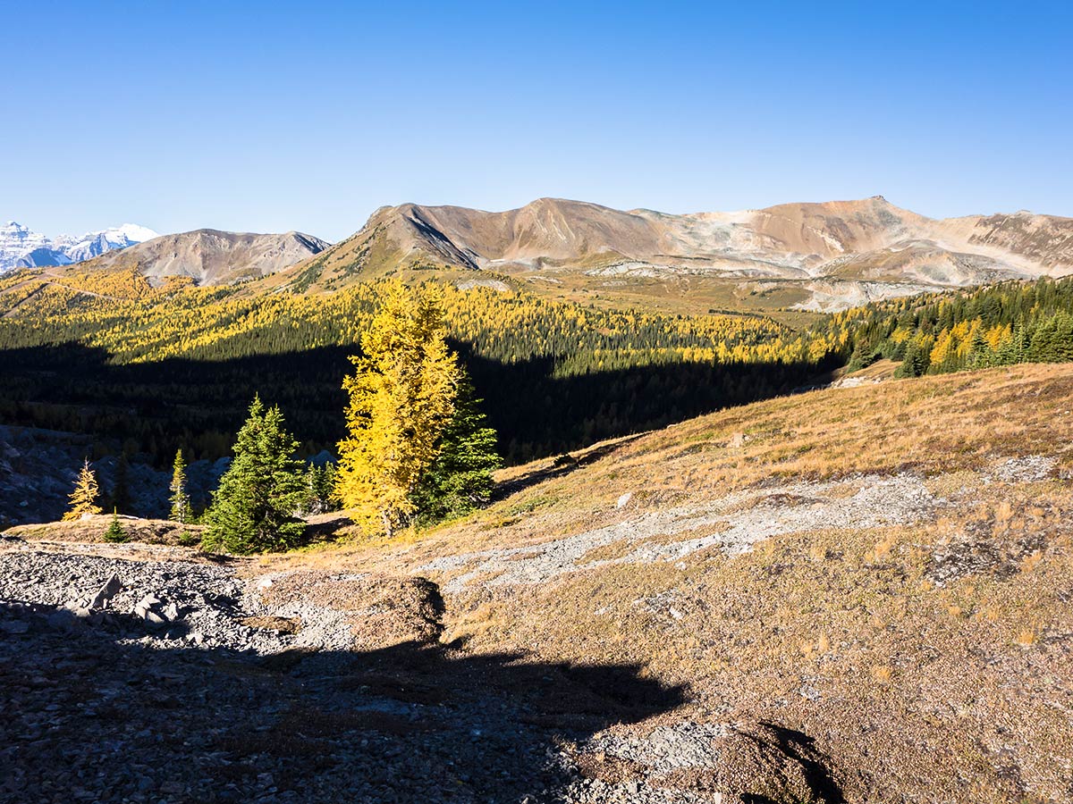 Views from Boulder Pass on the Skoki Lakes Hike from Lake Louise in Banff National Park