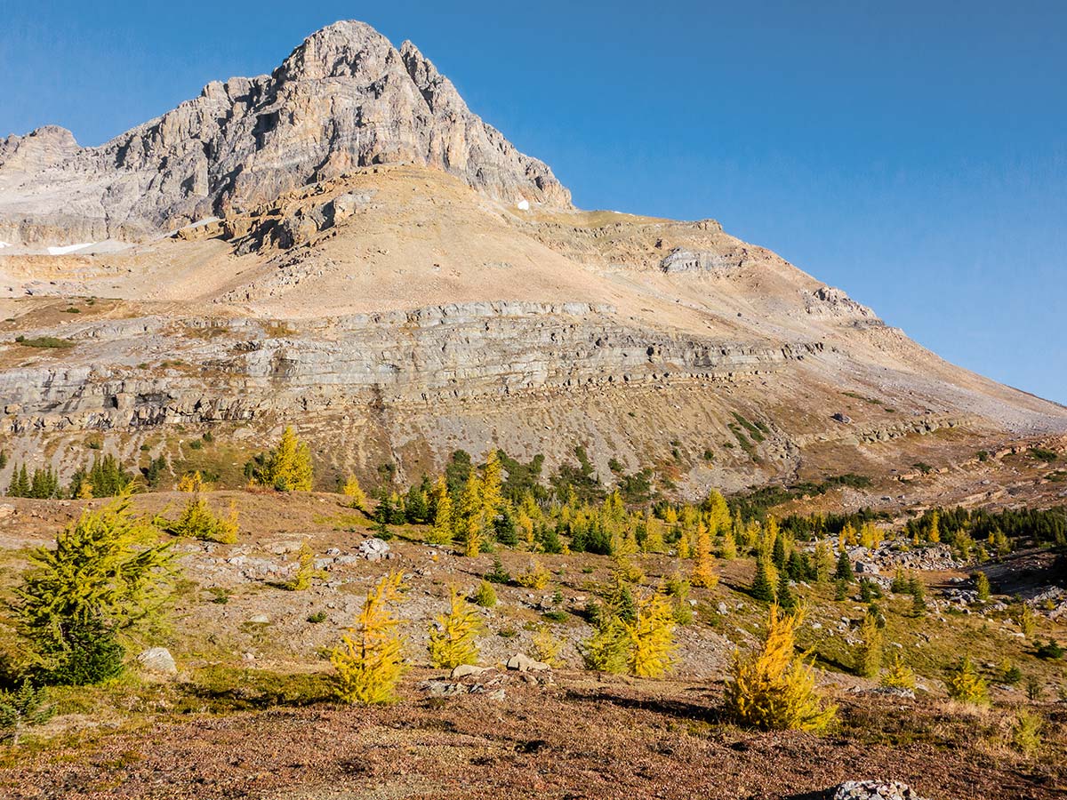 Ptarmigan Peak from Boulder Pass on the Skoki Lakes Hike from Lake Louise in Banff National Park