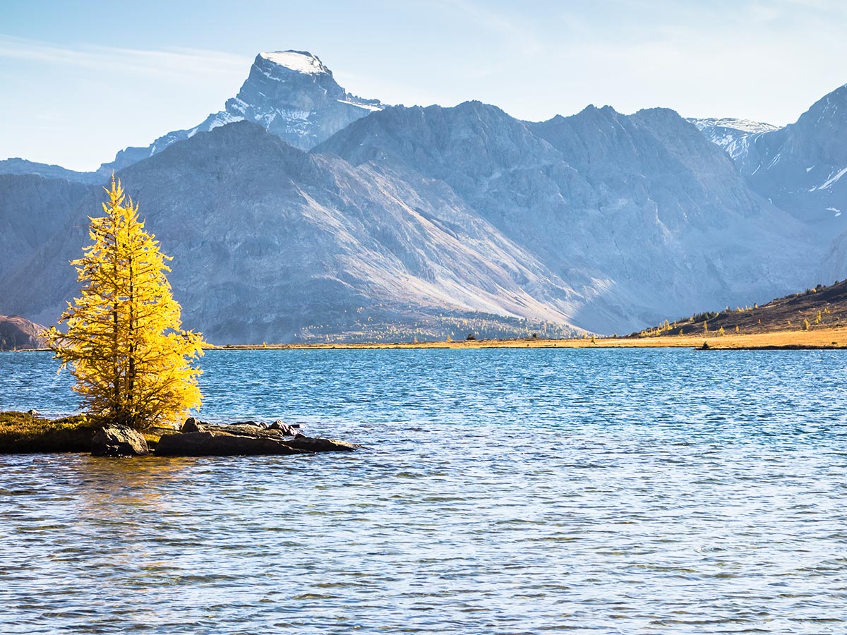 Autumn on Ptarmigan Lake on the Skoki Lakes Hike from Lake Louise in Banff National Park