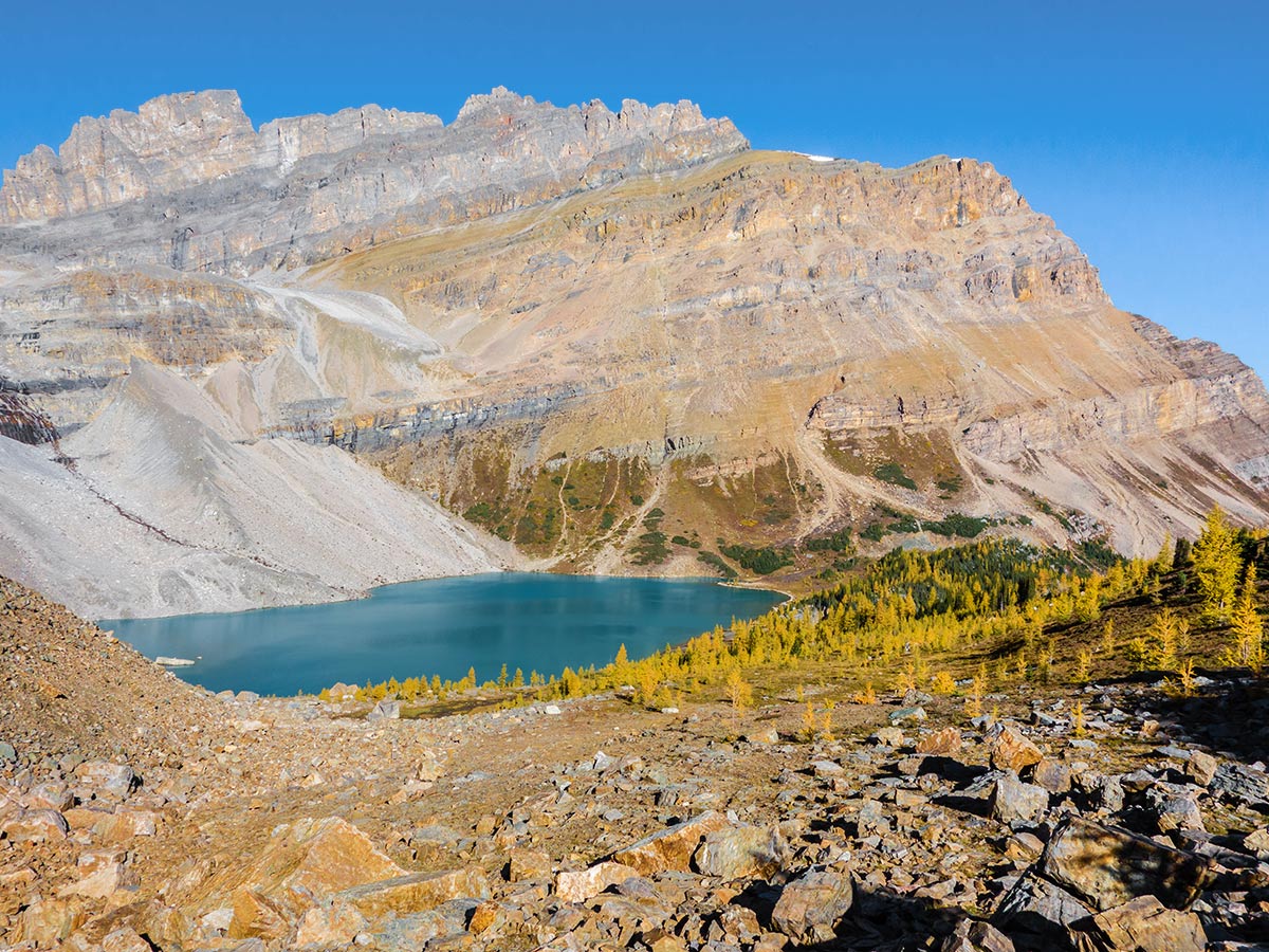 Zigadenus Lake from Packers Pass on the Skoki Lakes Hike from Lake Louise in Banff National Park