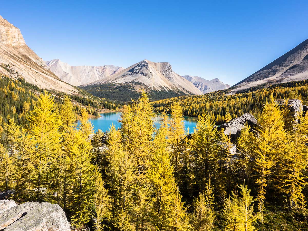 View of Myosotis Lake on the Skoki Lakes Hike from Lake Louise in Banff National Park