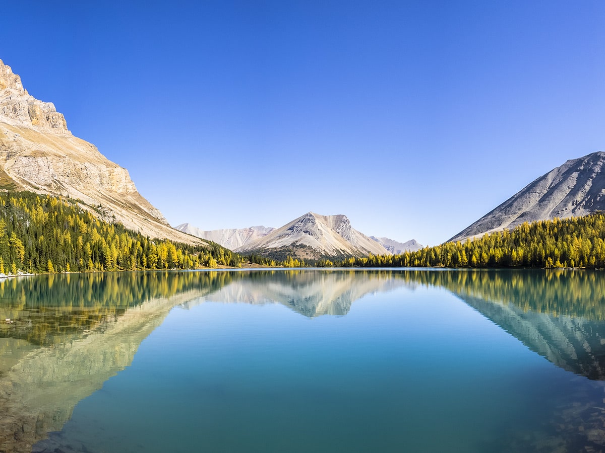 Myosotis Lake on the Skoki Lakes Hike from Lake Louise in Banff National Park