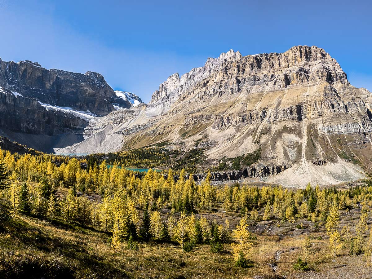 Panorama from the ascent of the Deception Pass on the Skoki Lakes Hike from Lake Louise in Banff National Park