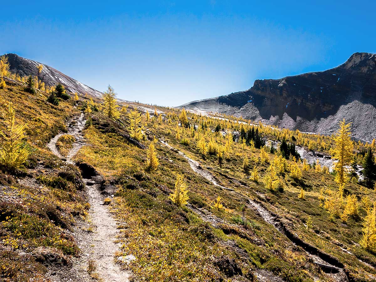 Path up the Deception Pass on the Skoki Lakes Hike from Lake Louise in Banff National Park