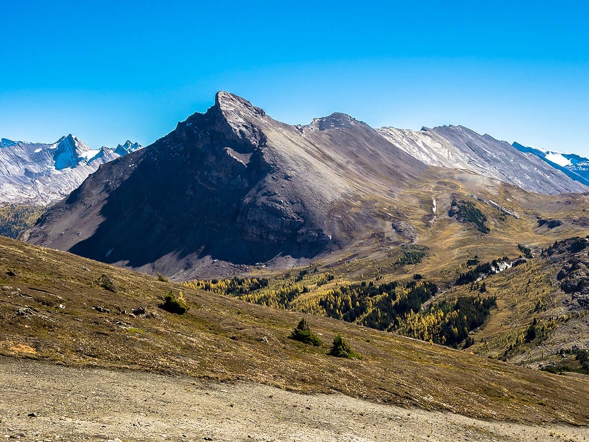 Pretty Brachiopod Mountain on the Skoki Lakes Hike from Lake Louise in Banff National Park