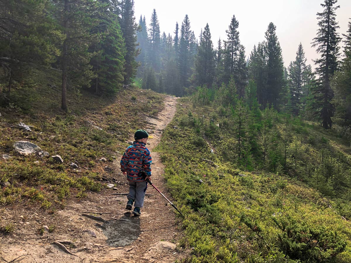 A fine trail of the Lake Louise Ski Hill Hike from Lake Louise in Banff National Park