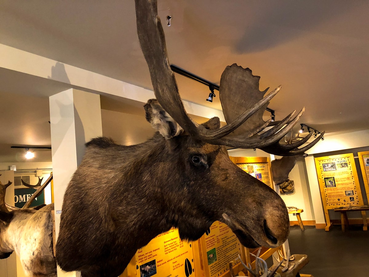 Inside the Interpretive Centre on the Lake Louise Ski Hill Hike from Lake Louise in Banff National Park