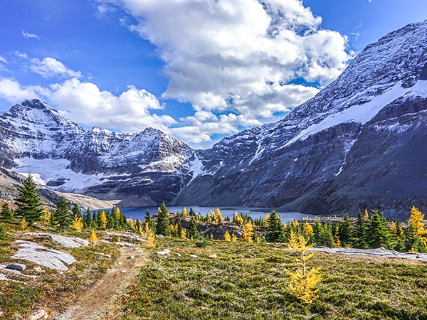 Trail of the Niles Meadow hike in Yoho National Park