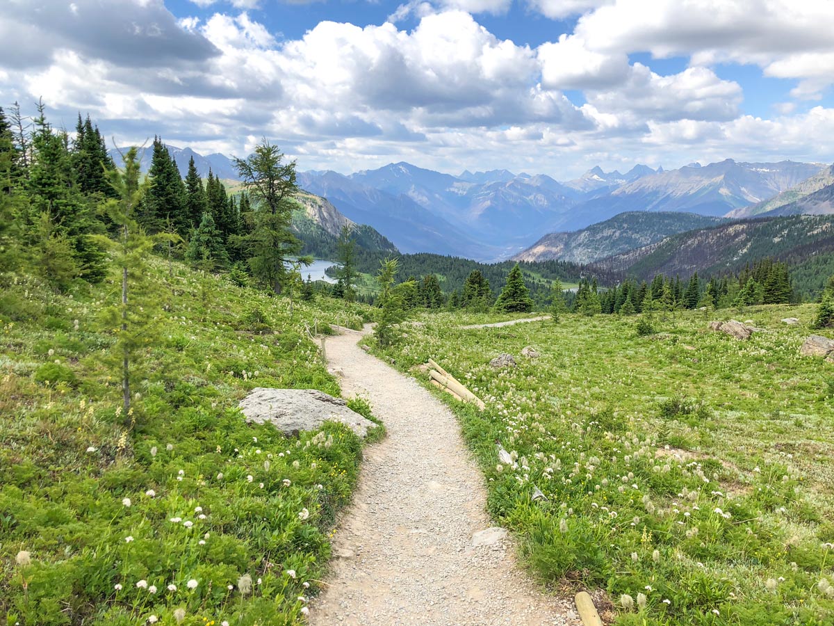 Trail down to Rock Isle Lake on the Twin Cairns and Monarch Viewpoint Hike near Banff, Alberta