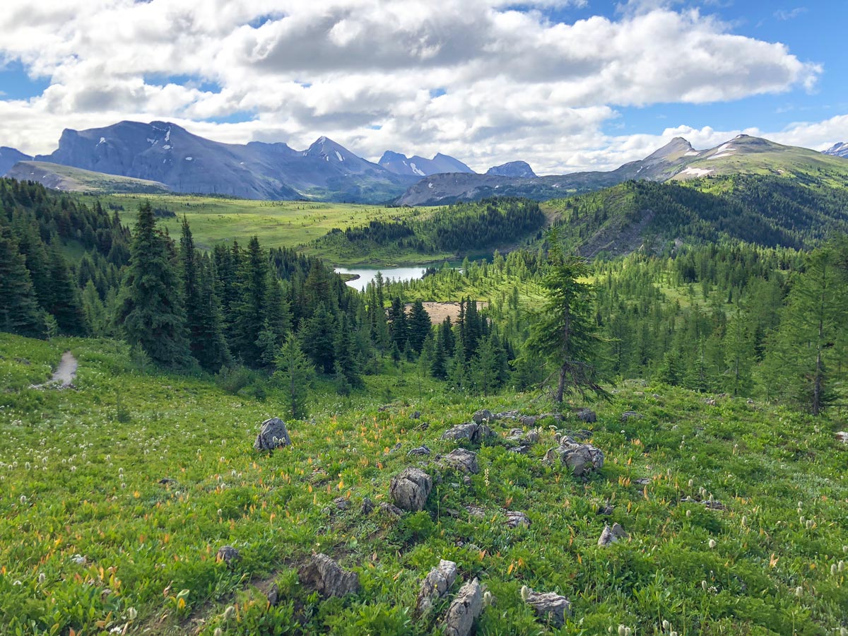 Trail to the junction on the Twin Cairns and Monarch Viewpoint Hike near Banff, Alberta