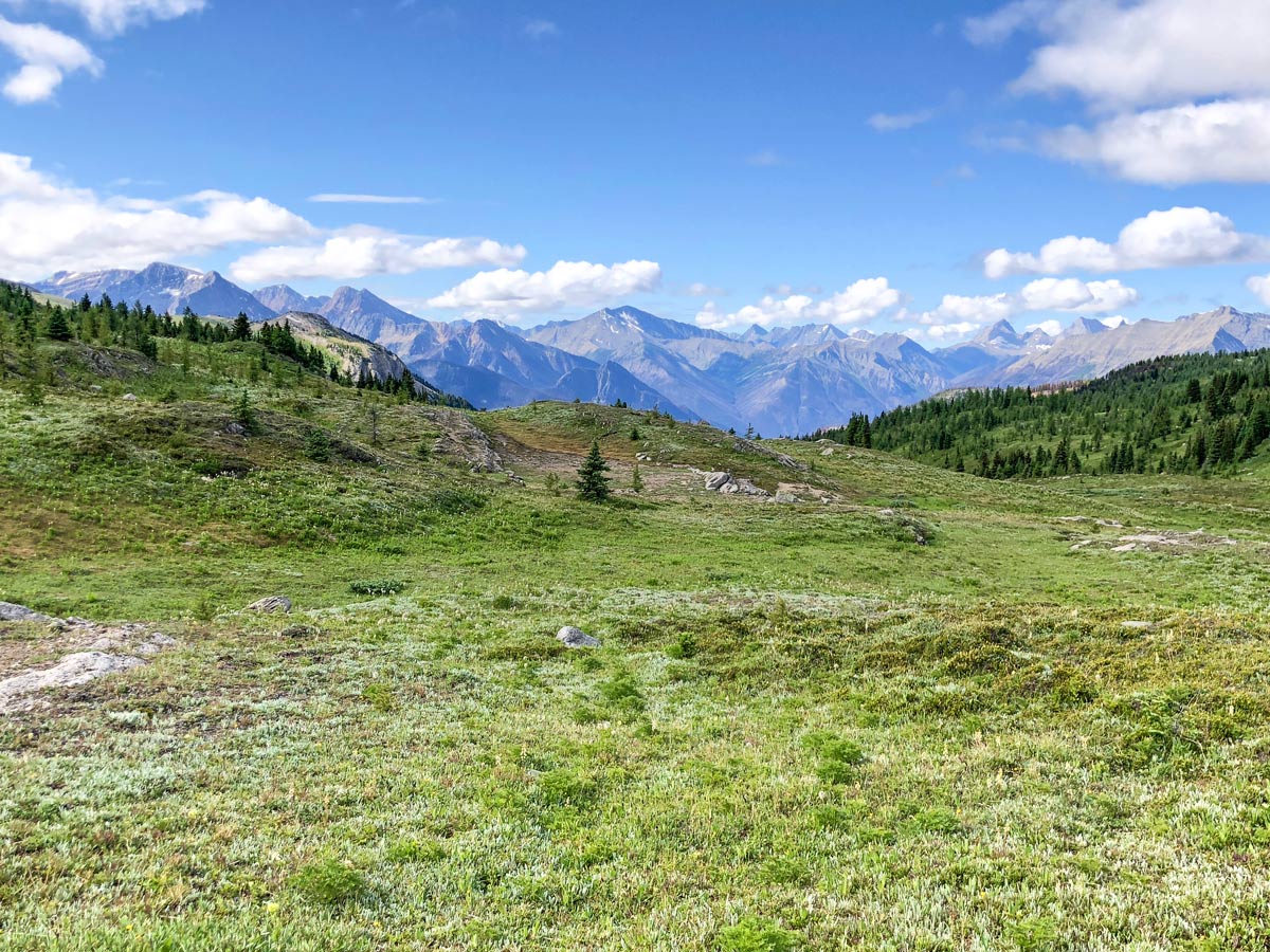 Scenery on the Twin Cairns and Monarch Viewpoint Hike near Banff, Alberta