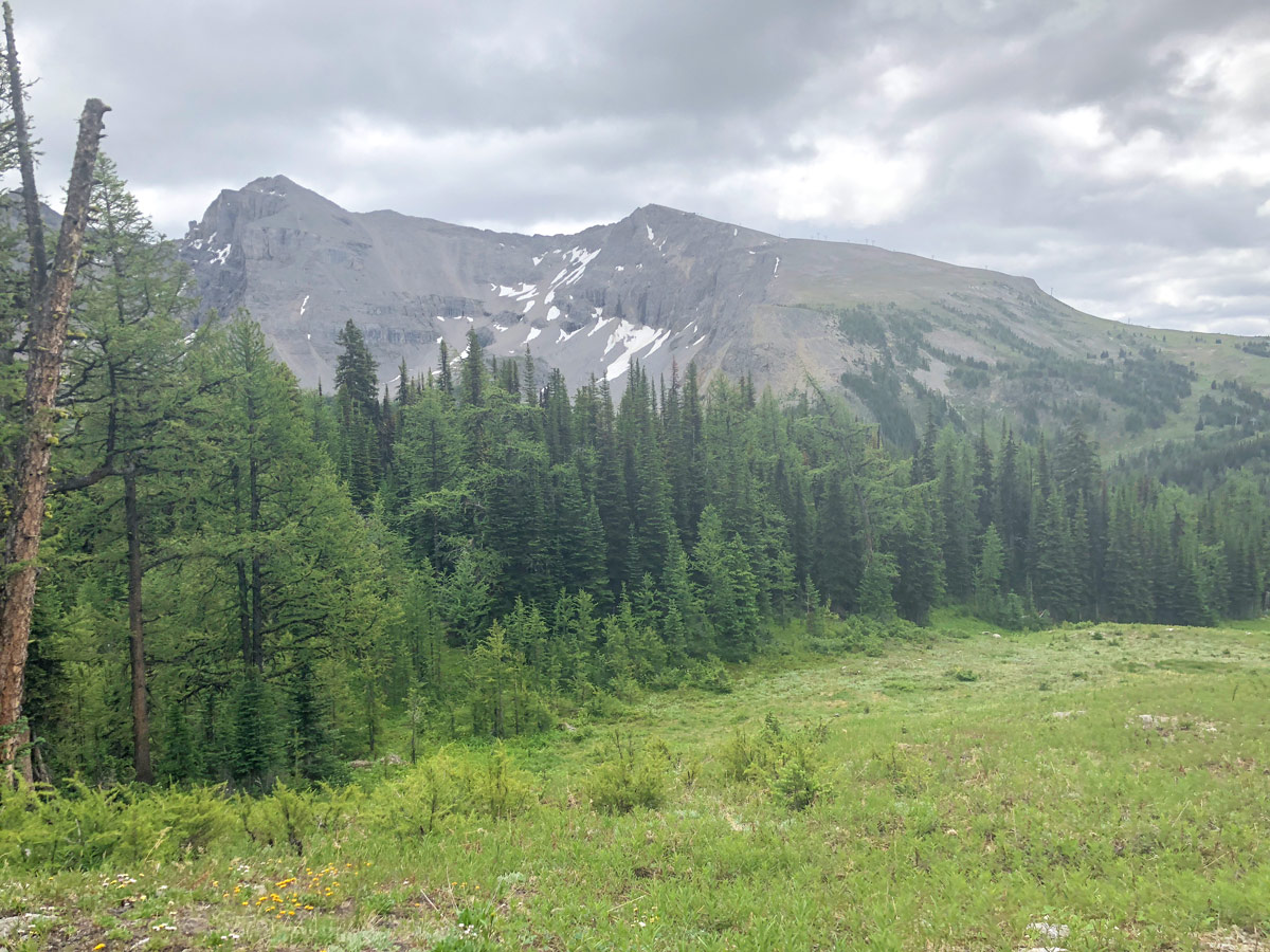 View across the valley on the Twin Cairns and Monarch Viewpoint Hike near Banff, Alberta