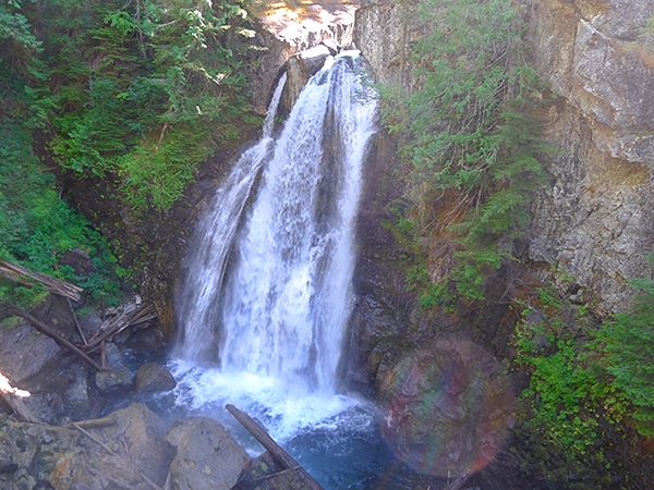 Scenery of the Lady Falls hike in Strathcona Provincial Park, Vancouver Island