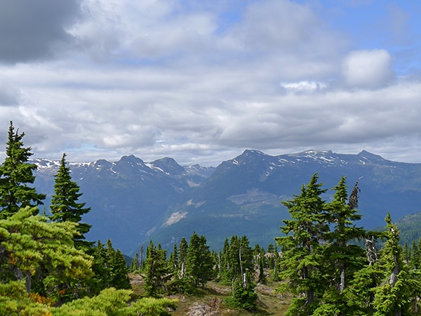 Scenery of the Mt Becher hike in Strathcona Provincial Park, Vancouver Island