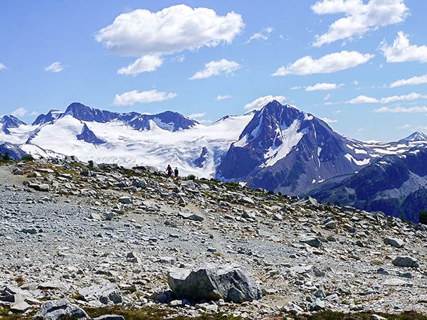 Trail of the Blackcomb Meadows hike in Whistler, British Columbia