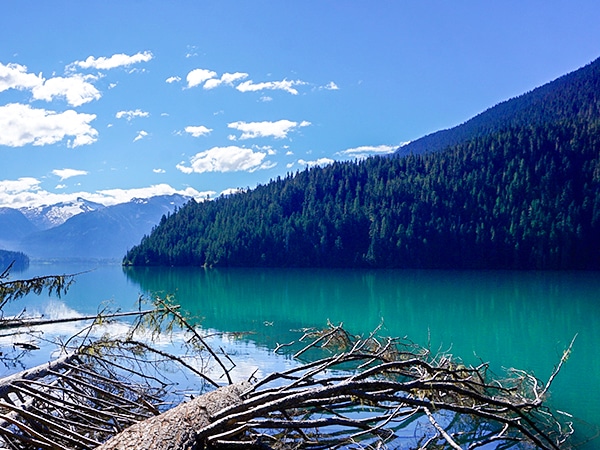 Scenery of the Cheakamus Lake hike in Whistler, British Columbia