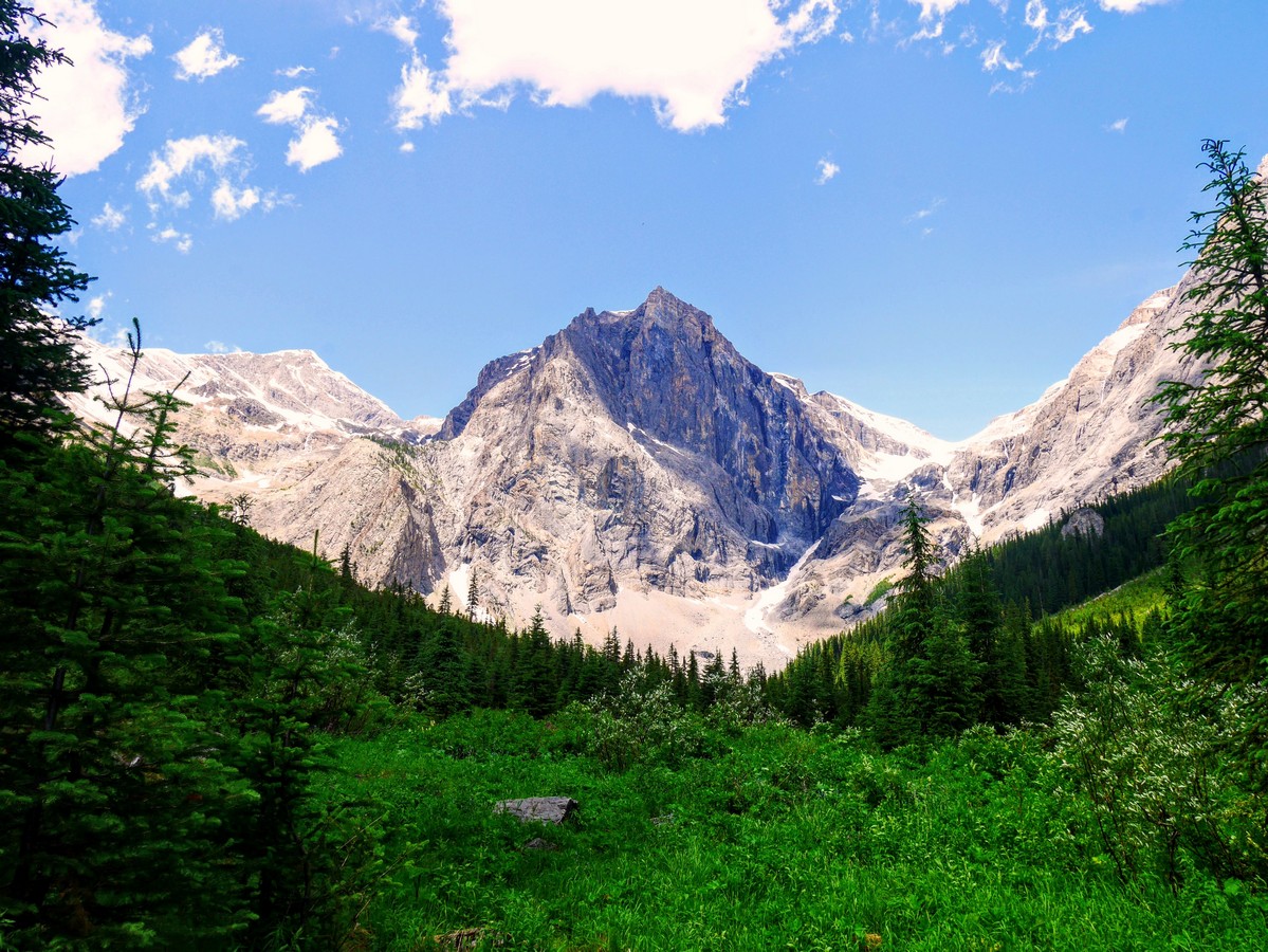 The President from the Emerald Basin Hike in Yoho National Park, Canada