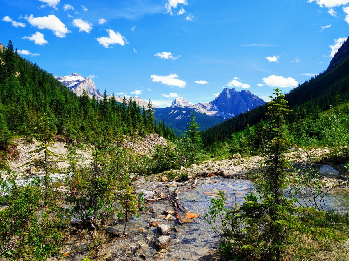 Looking down the basin over a creek on the Emerald Basin Hike in Yoho National Park, Canada