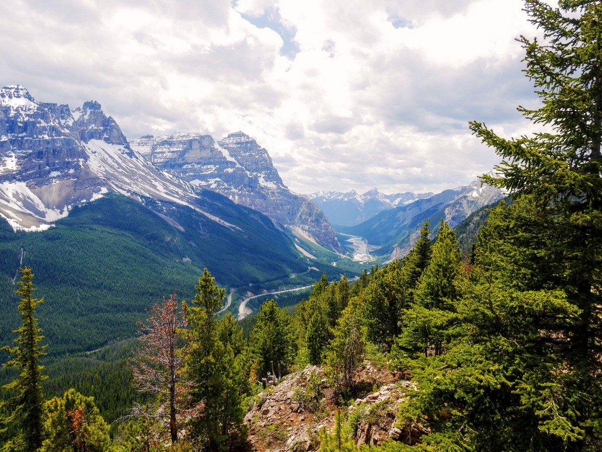 Looking down to Kicking Horse Valley on the Paget Lookout & Sherbrooke Lake Hike in Yoho National Park, Canada